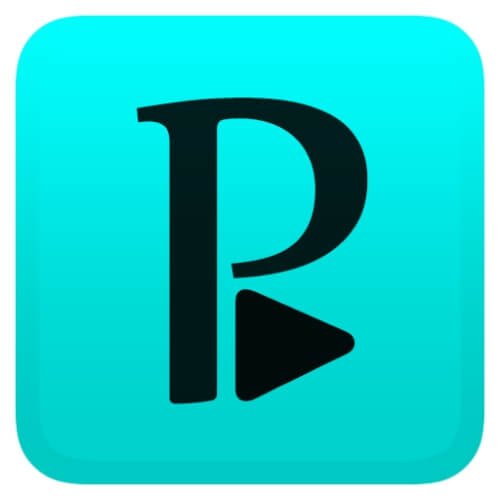 Perfect Player logo