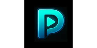 Perfect player logo